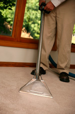 Domestic Carpet Cleaning 